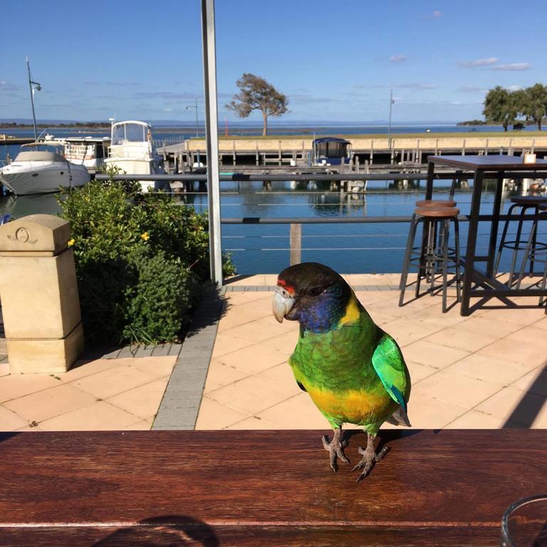 Mandurah Quay Resort Extérieur photo